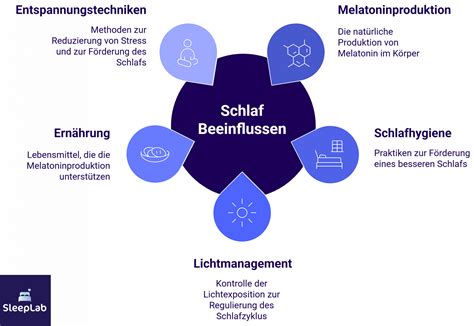 Infografik: Einflussfaktoren auf die Milchproduktion beim Abpumpen