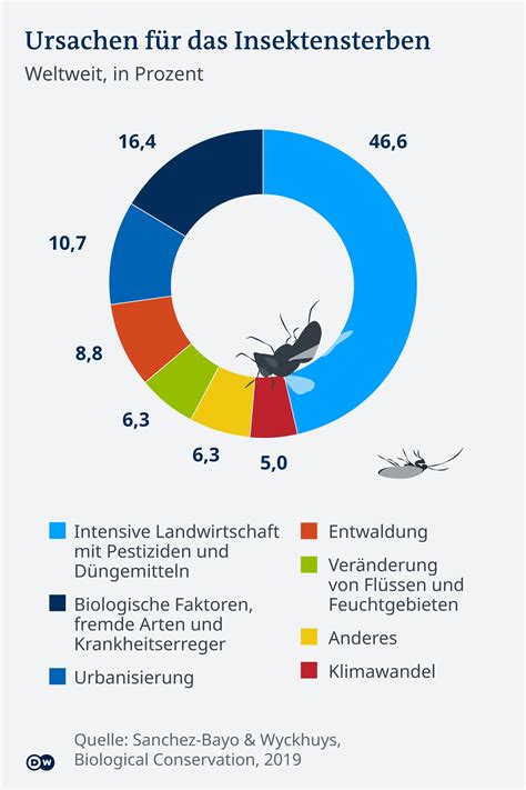 Infografik, die die Ursachen des Insektensterbens und seine Folgen für das Ökosystem darstellt.