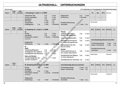 Schema des Mutterpasses mit nummerierten Seiten und grober Inhaltsübersicht
