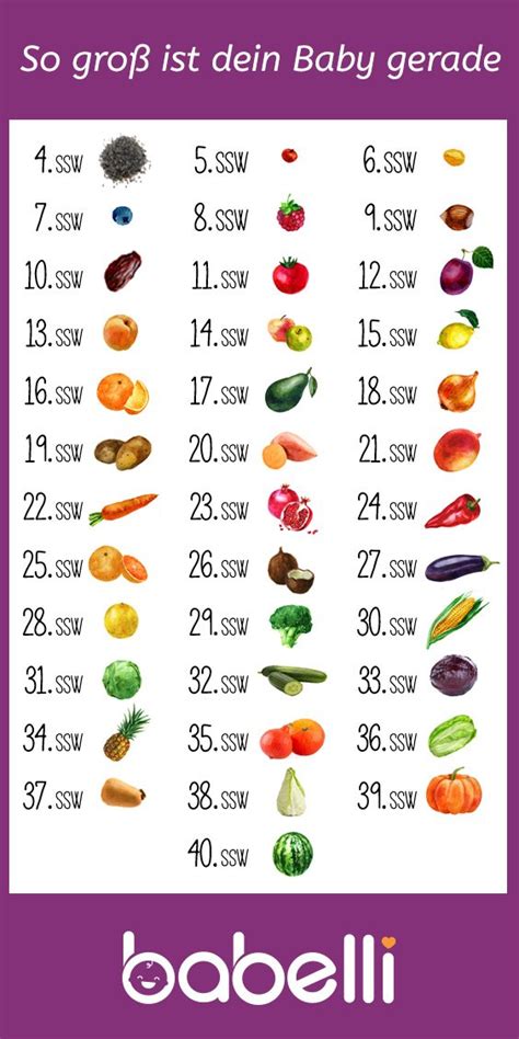 Illustration, die die Größe eines Embryos in der 4. SSW mit einem Mohnkorn vergleicht