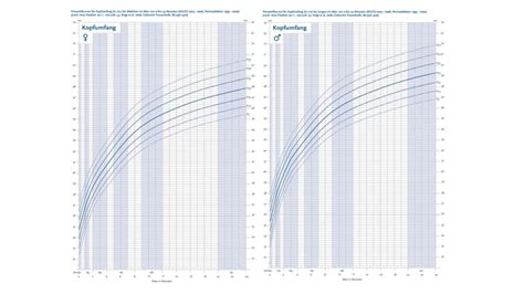 Schema zur Veranschaulichung des Kopfumfangs bei Mikrozephalie im Vergleich zu einem normalen Kopfumfang.