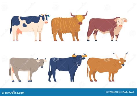 Vergleich verschiedener Still-BH-Modelle mit ihren Merkmalen