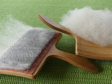 Aufnahme von sauberer, weicher Hundeunterwolle, bereit zum Spinnen