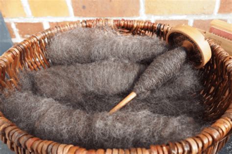 Rolags aus der Unterwolle und eine etwas schneller drehende Spindel