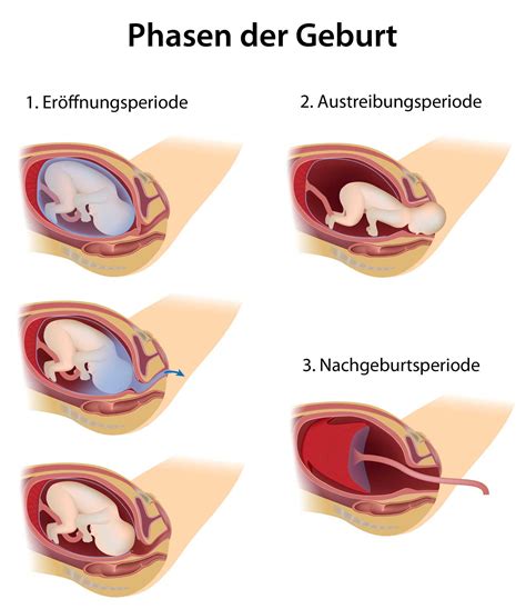Schema zur vertraulichen Geburt, das die einzelnen Schritte und Beteiligten darstellt