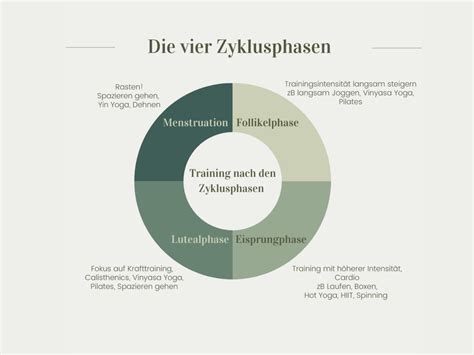 Infografik zu den vier Graden von Dammrissen
