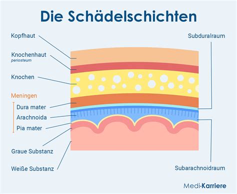 Schema der Schichten des Schädels mit Darstellung eines Kephalhämatoms