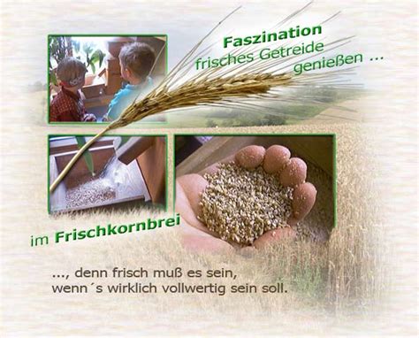 Infografik, die die Schritte zur Zubereitung von Frischkornbrei mit Getreide, Obst und Wasser zeigt