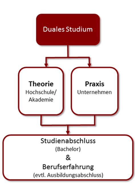 Schema des dualen Studiums Hebammenwissenschaft mit Praxisphasen und theoretischen Blöcken.