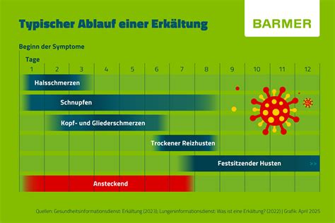 Schema der typischen Erkältungssymptome bei Babys