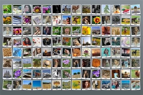 Eine Collage aus verschiedenen Smartphone-Nutzungsszenarien: jemand liest Nachrichten im Zug, spielt ein Spiel, telefoniert, macht Fotos.