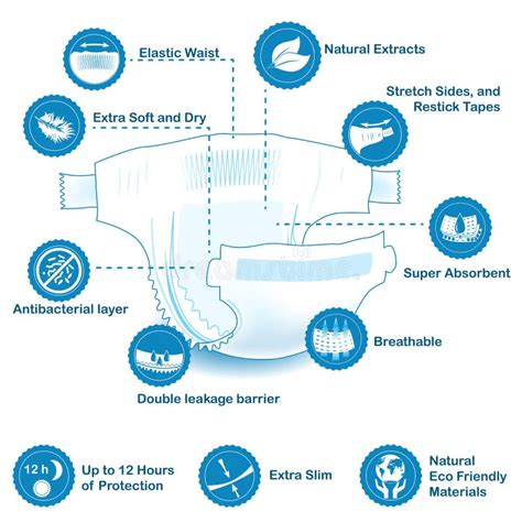 Infografik: Anatomie einer Babywindel mit Hervorhebung der Saugzonen