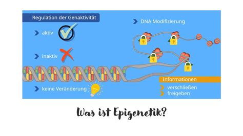 Schema, das die Rolle der Epigenetik bei der Vererbung von Suchtrisiken durch Umwelteinflüsse veranschaulicht.