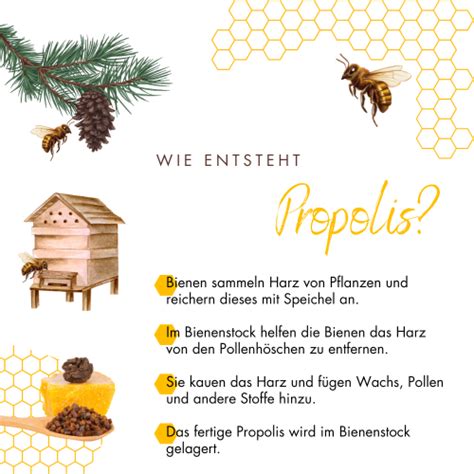 Infografik zur Zusammensetzung von Propolis und seinen Hauptwirkstoffen