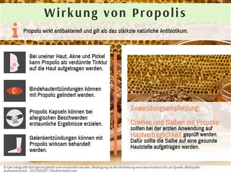 Schema zur Wirkung von Propolis auf verschiedene Krankheitserreger