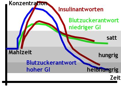 Grafik, die den Zusammenhang zwischen Blutzucker, Insulin und Gewichtszunahme darstellt