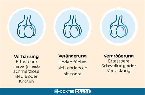 Schema der Selbstuntersuchung der Hoden auf Hodenkrebs