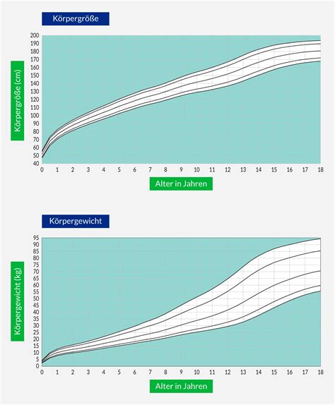 Grafik, die verschiedene Perzentile für das Wachstum von Föten zeigt