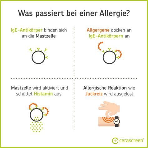 Schema zur Unterscheidung von Lebensmittelallergie, Nahrungsmittelunverträglichkeit und Pseudoallergie