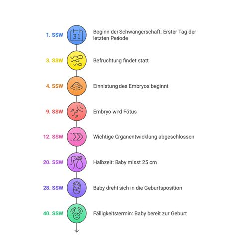 Infografik zu den Inhalten eines Geburtsvorbereitungskurses