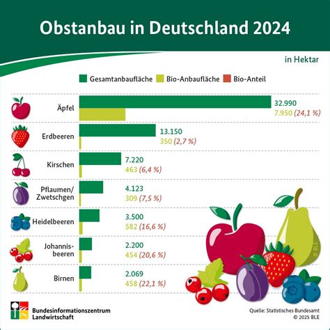 Infografik, die die verschiedenen Obst- und Topping-Optionen für Hirsebrei darstellt.
