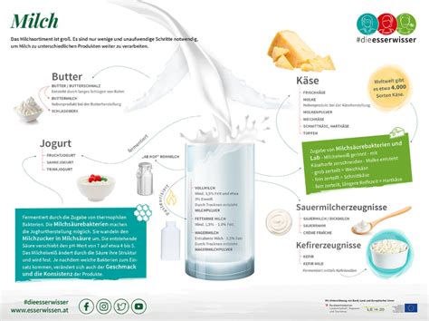 Infografik: Übersicht der getesteten Babykekse und deren Bewertung