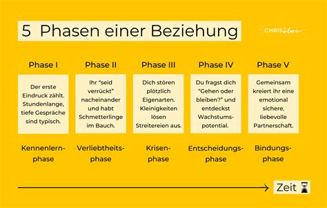 Schema: Die verschiedenen Phasen der Hebammenbetreuung