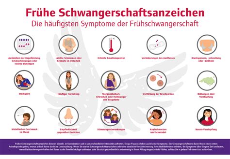 Infografik: Mögliche frühe Schwangerschaftsanzeichen und ihre Unterscheidung zu PMS