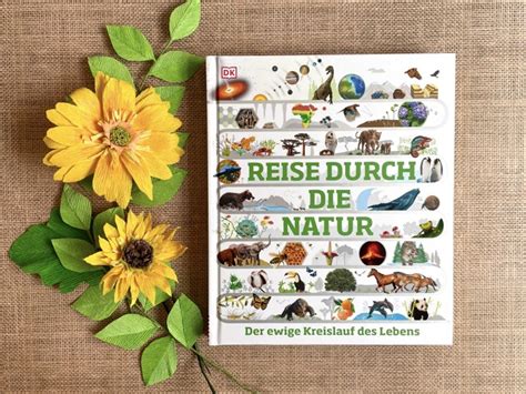 Kinderbuch, das die Natur mitten in der Stadt zeigt