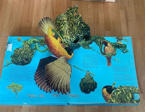 Pop-Up-Buch, das versteckte Tiere enthüllt