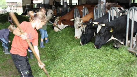 Kinder, die auf einem Biobauernhof Tiere füttern