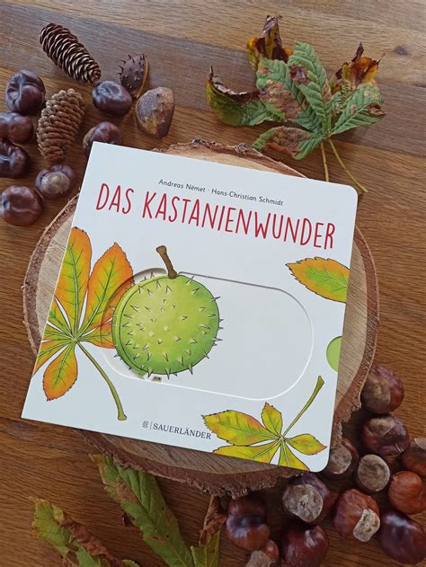 Pappbilderbuch über das Trockenwerden für Kleinkinder