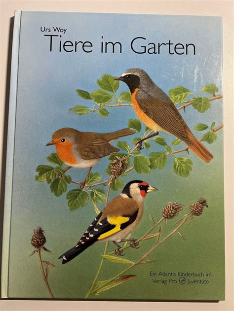 Kinderbuch über Tiere und Pflanzen im Garten mit Klappen