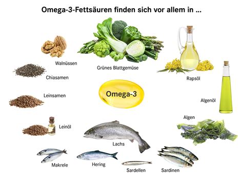 Infografik, die die wichtigsten Vorteile von Omega-3-Fettsäuren für die Schwangerschaft darstellt (Gehirnentwicklung, Sehkraft, Nervensystem).