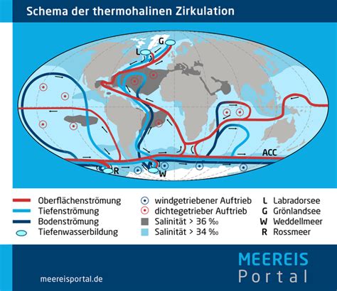 Schematische Darstellung der globalen Leihmutterschaftsrouten mit Angabe von Ländern, in denen sie erlaubt, eingeschränkt oder verboten ist.