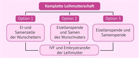 Infografik, die die verschiedenen Arten der Mutterschaft (genetisch, austragend, rechtlich) im Kontext der Leihmutterschaft darstellt.