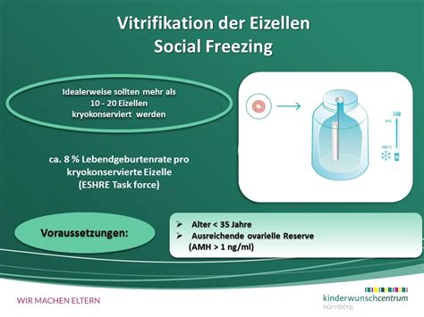 Darstellung des Prozesses des Social Freezing von der Stimulation bis zur Lagerung