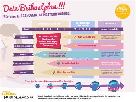 Infografik: Zeitplan für die Einführung verschiedener Lebensmittelgruppen während der Beikosteinführung.
