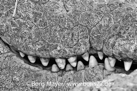 Detailaufnahme des Frottee-Materials des Schonbezugs.