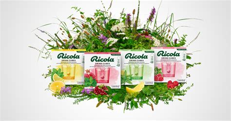 Schema der Ricola Kräutermischung und ihrer Hauptbestandteile