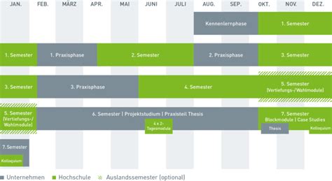 Infografik: Der Ablauf eines Hebammenstudiums (8 Semester) mit theoretischen und praktischen Phasen