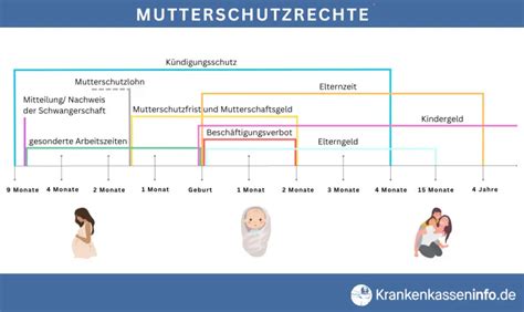 Infografik zu den Schutzfristen und Leistungen im Mutterschutz.