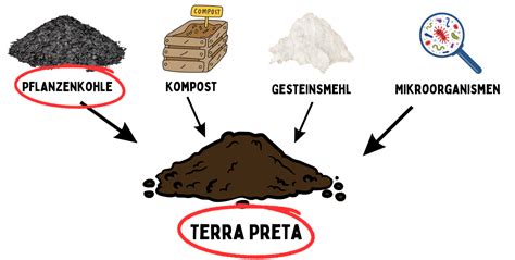 Schema zur Entstehung und Funktion von Terra Preta mit Pflanzenkohle