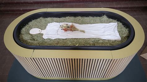 Infografik zum Prozess der Reerdigung