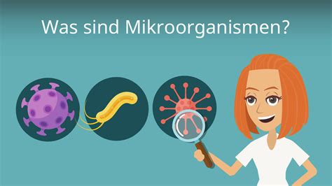 Illustration, die die verschiedenen Übertragungswege von Mikroorganismen von der Mutter auf das Kind zeigt (Geburtskanal, Haut, Muttermilch)