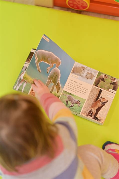 Kind blättert begeistert in einem bunten Bilderbuch