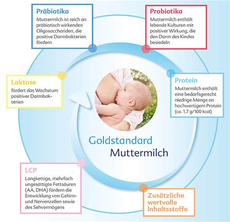 Illustration von verschiedenen Anwendungsmöglichkeiten von Muttermilch: Augen, Ohren, Windelbereich, Haut