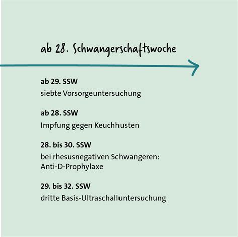 Schema der wichtigsten Vorsorgeuntersuchungen während der Schwangerschaft