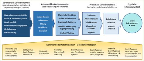 Infografik, die verschiedene Methoden der Schnullerreinigung und ihre potenziellen Auswirkungen auf die Mundgesundheit von Kindern zeigt.