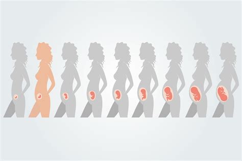 Eine Schwangere, die entspannt auf der Seite liegt, während ein CTG-Gerät angelegt ist.